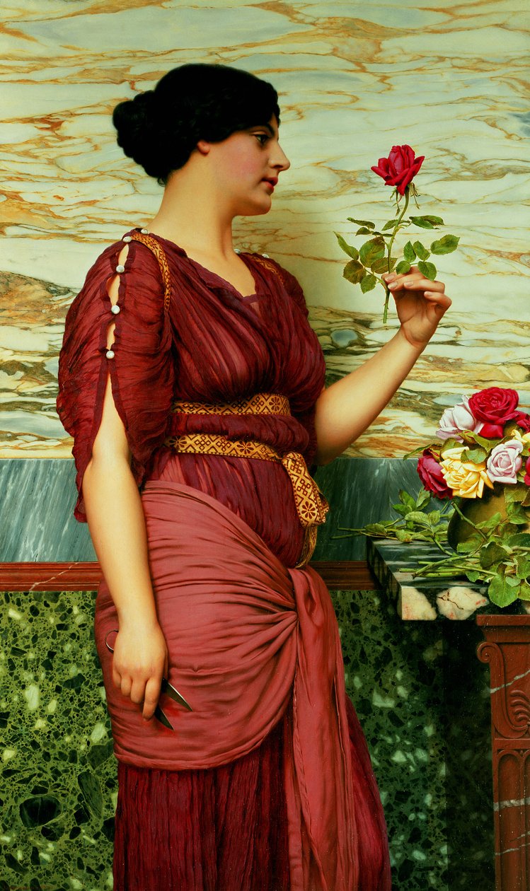Červená, rudá růže od John William Godward