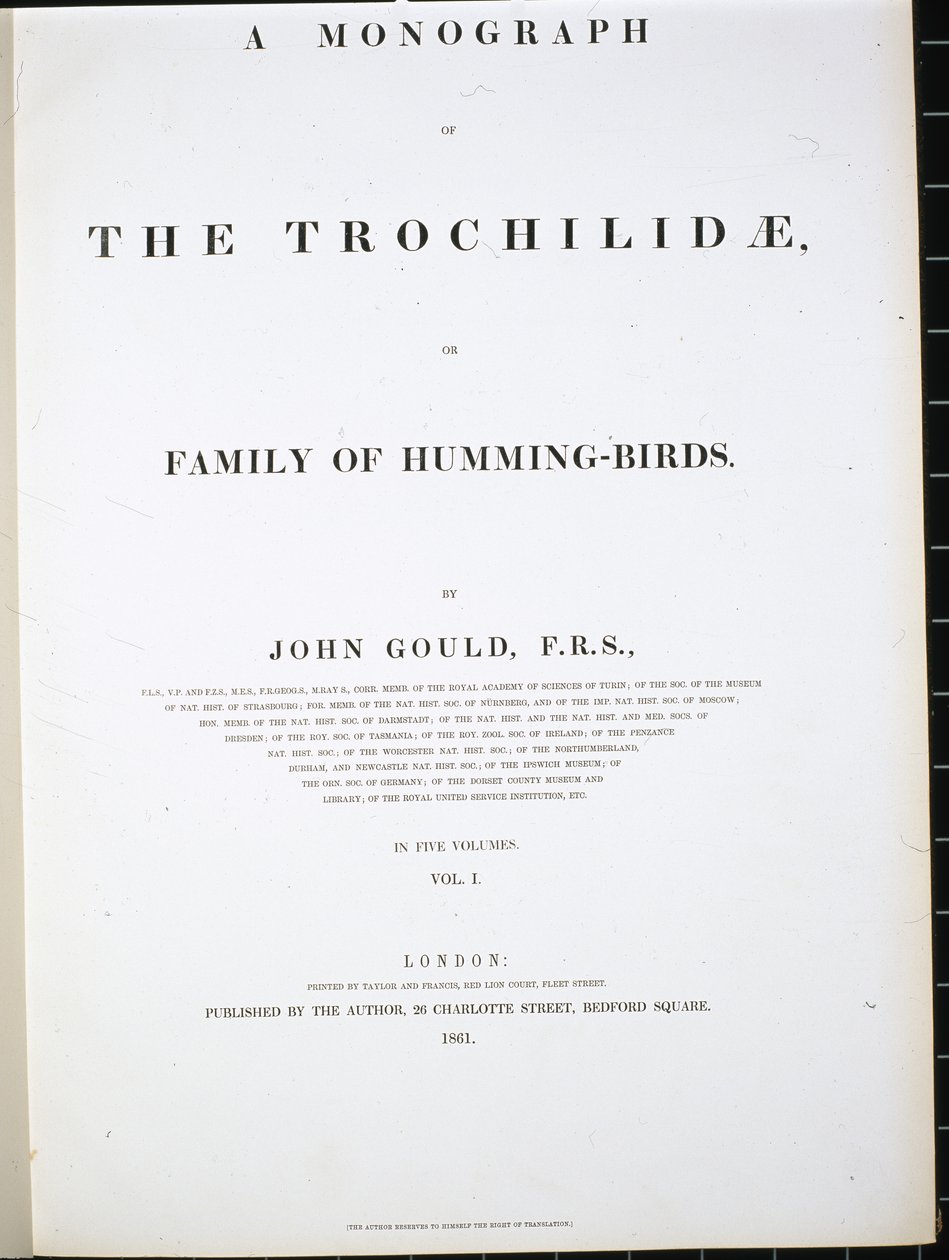 Frontispis (ručně barvený lito) od John (after) Gould