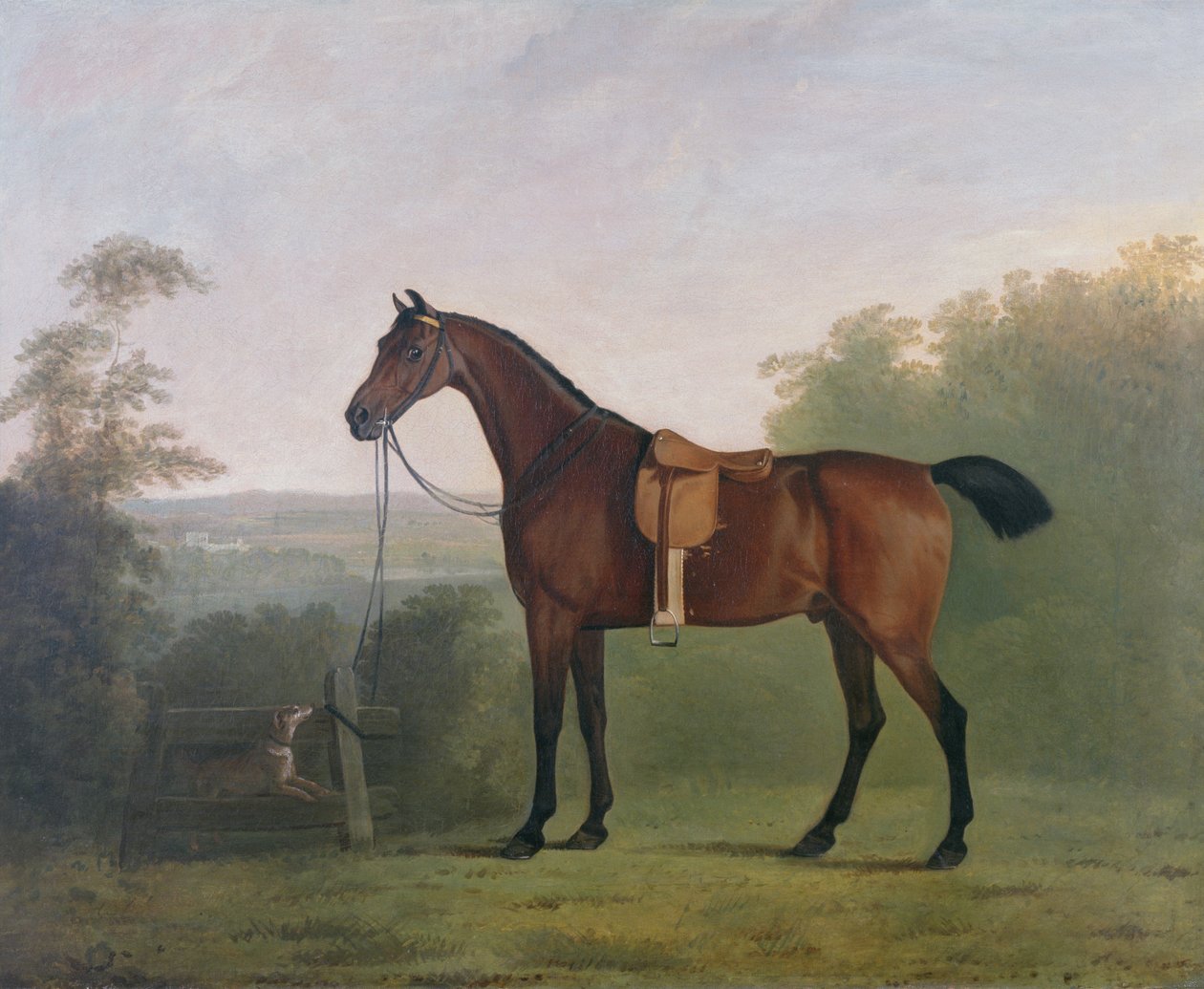 Bay Hunter v krajině od John Boultbee