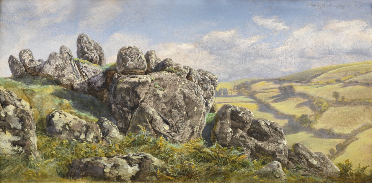 Studium pro Chagford od John Brett