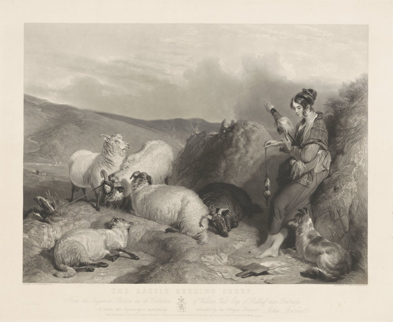 Lassie pasoucí ovce. od John Burnet