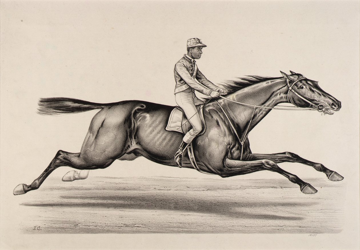 Císař Norfolku od John Cameron