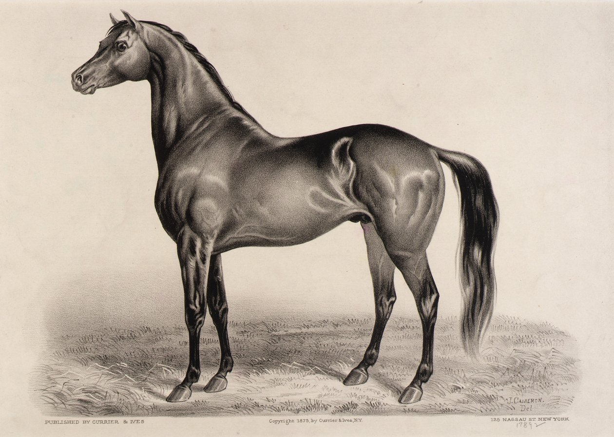 Redpath od John Cameron