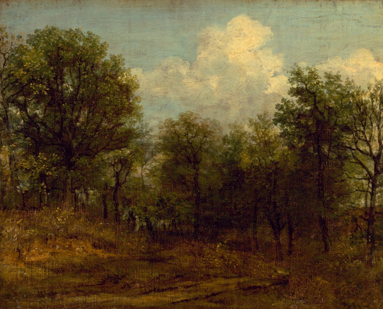 Dřevo (olejomalba) od John Constable