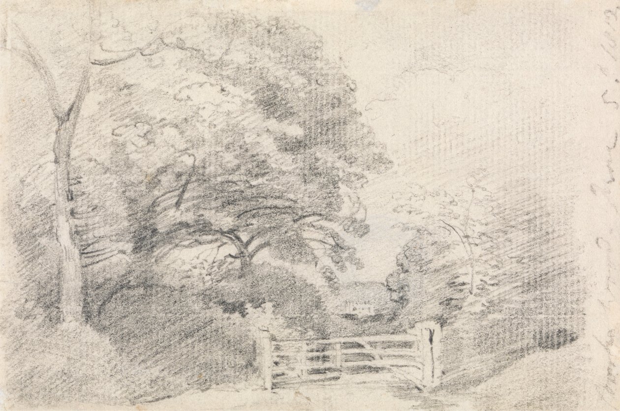 Dřevo Coombe od John Constable