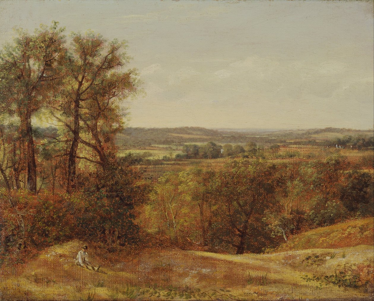 Dedham Vale od John Constable