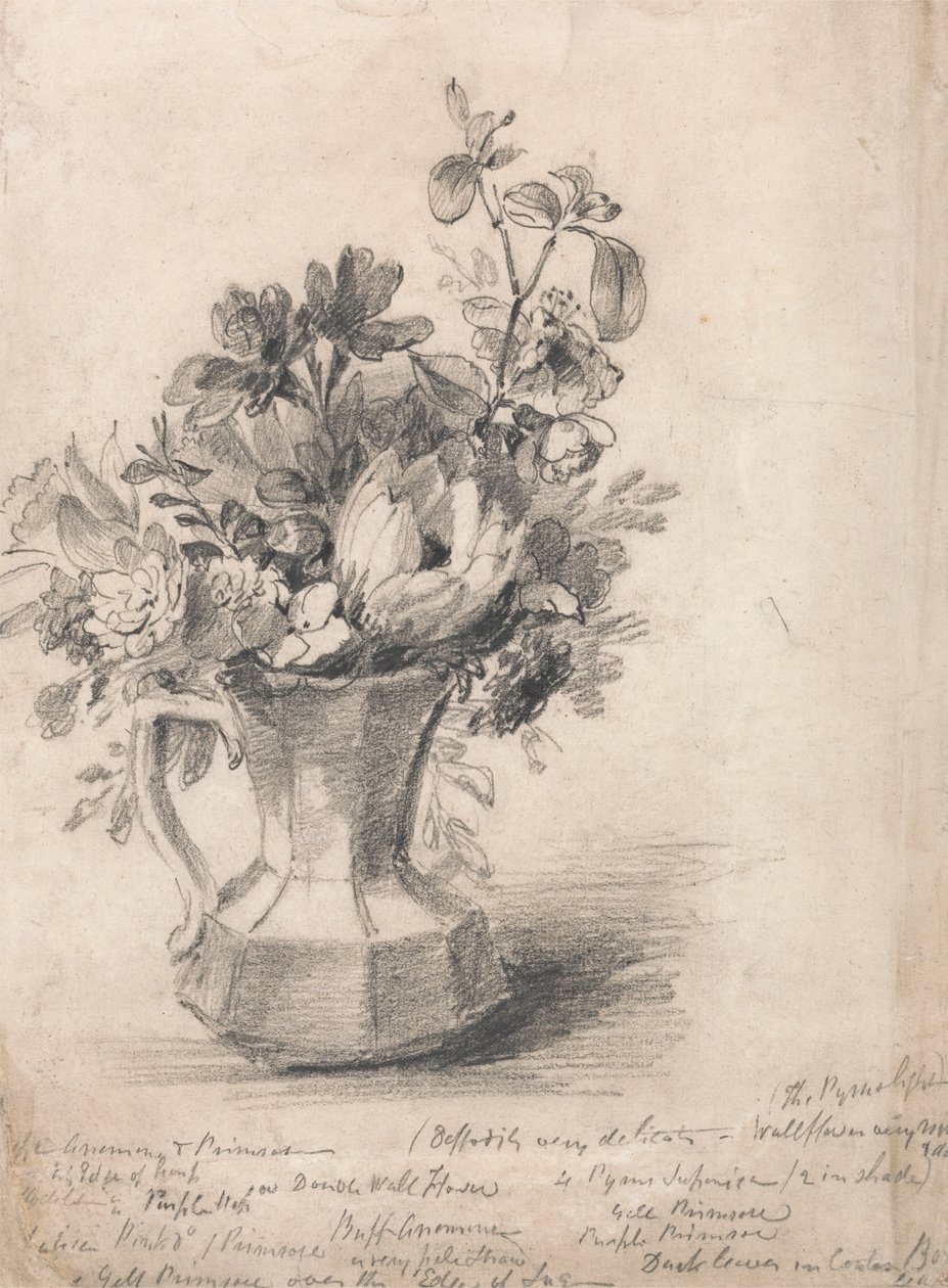 Květiny ve džbánu od John Constable