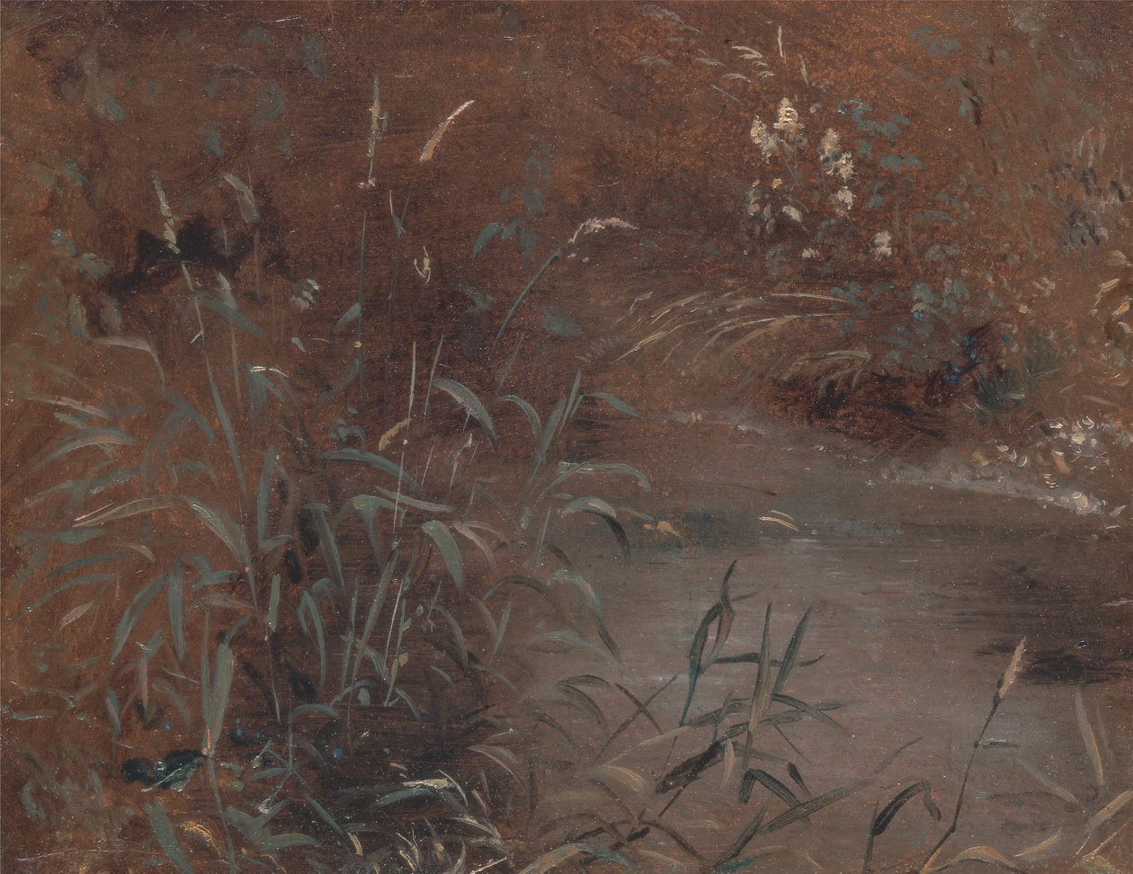 Spěchá u bazénu, ca. 1821. od John Constable