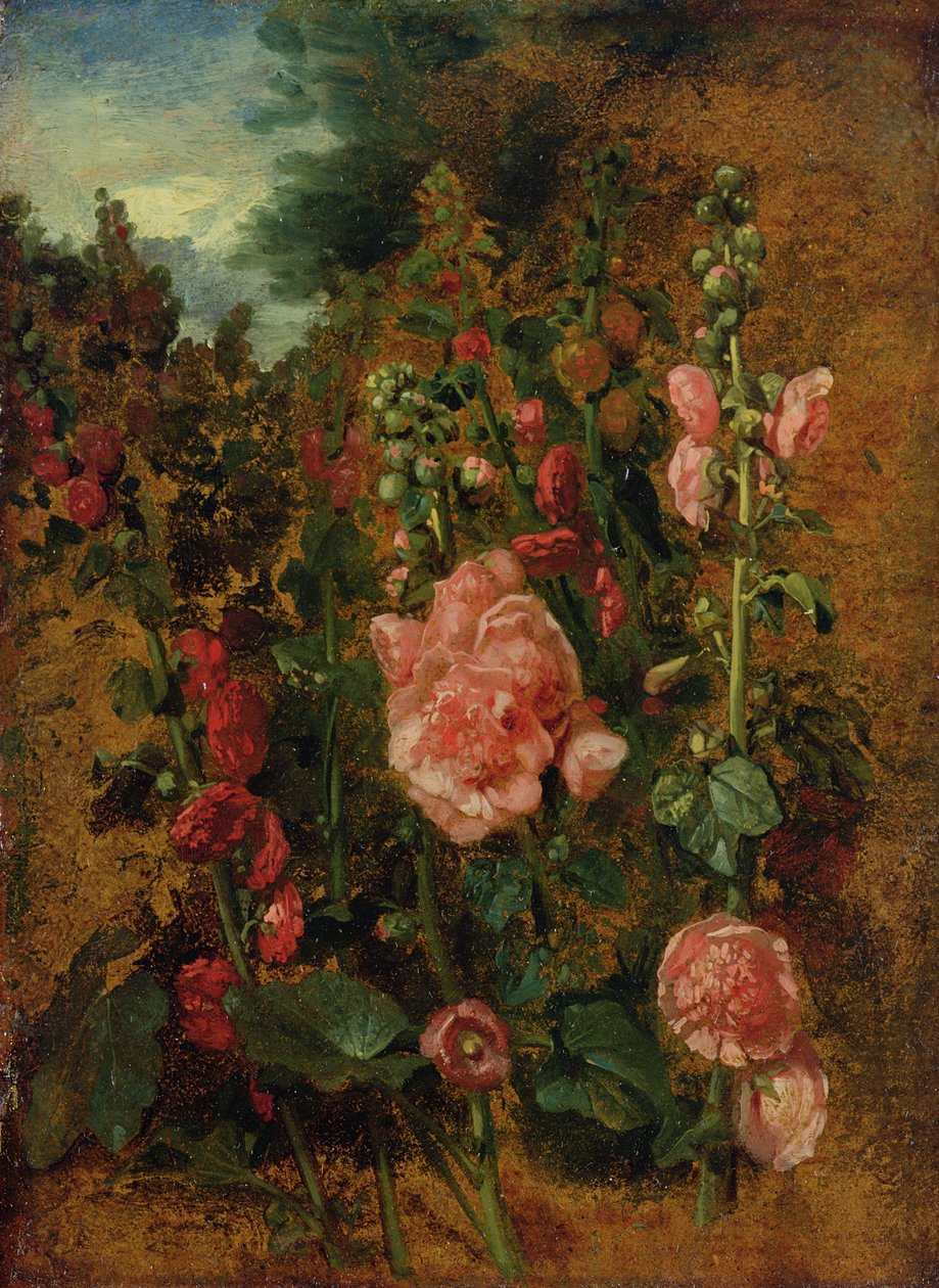 Study of Hollyhocks, c.1826 od John Constable