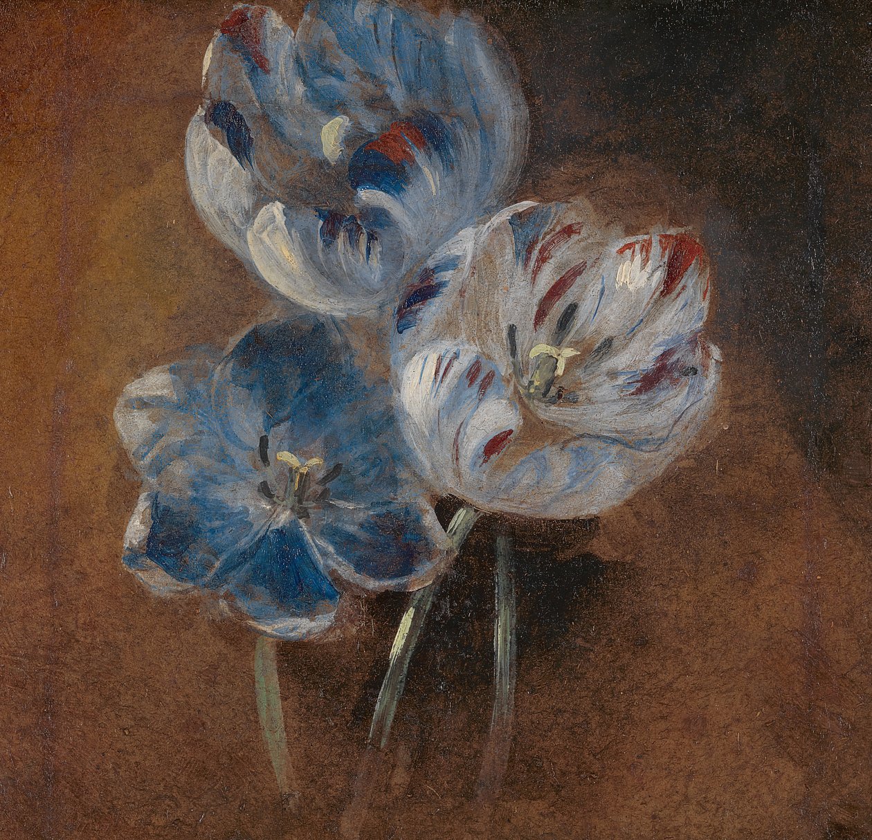 Studie tří papouščích tulipánů, ca. 1832. od John Constable