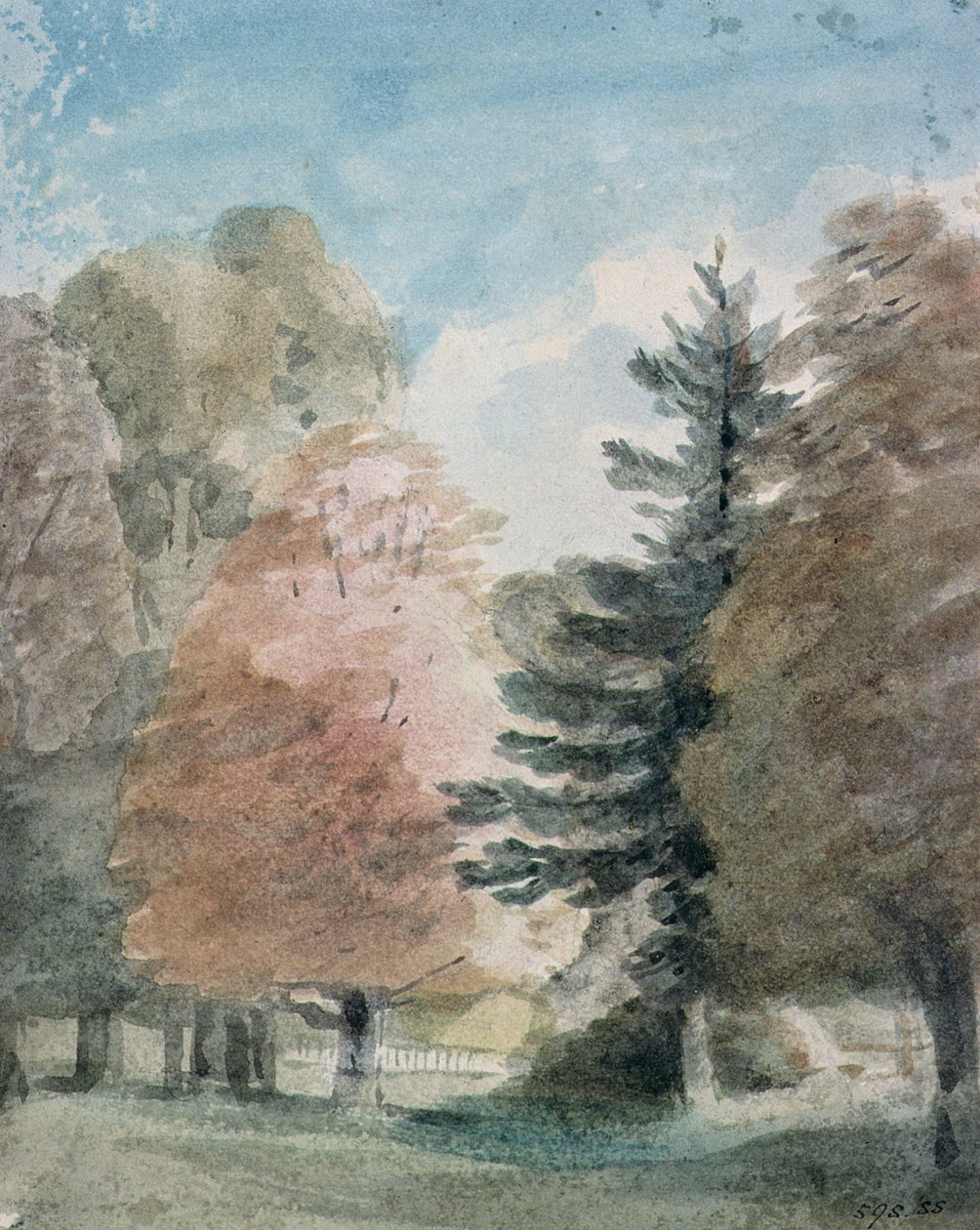 Studie stromů v parku (akvarel) od John Constable