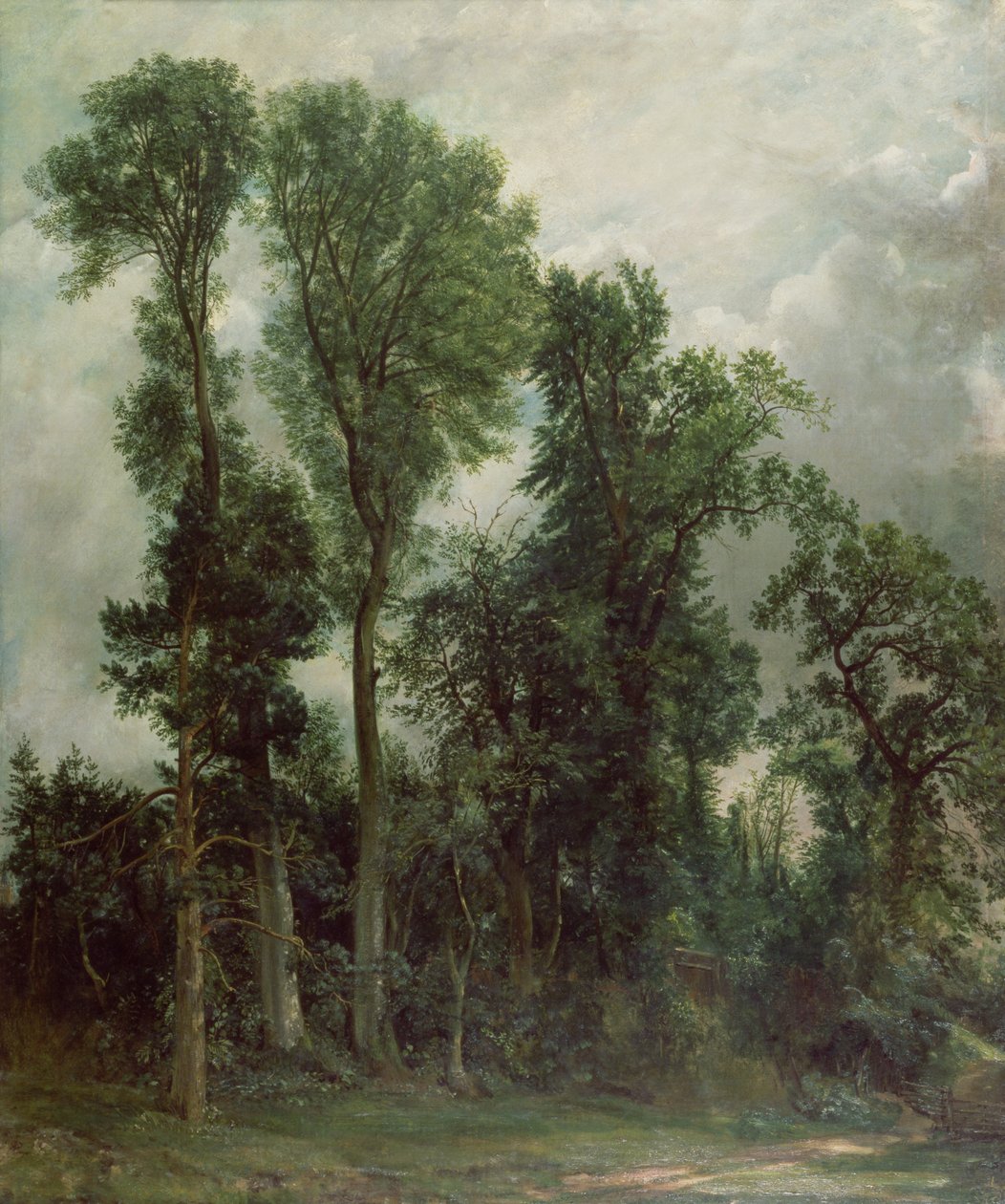 Stromy v Hampsteadu od John Constable