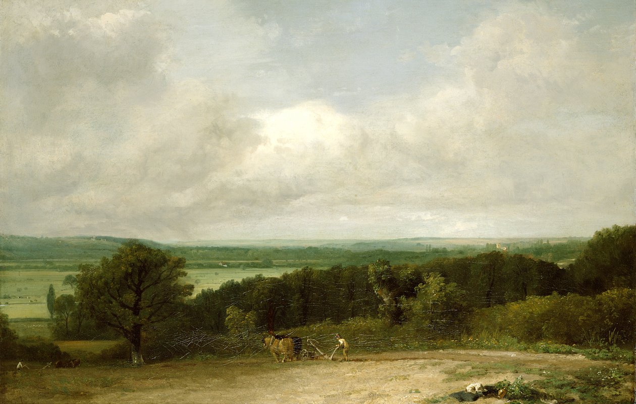 Neznámý obrázek od John Constable
