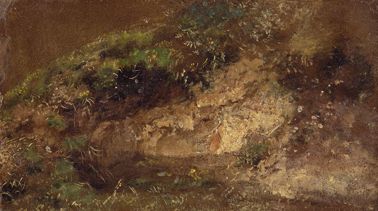 Undergrowth, c.1821 (olej na papíře na desce) od John Constable