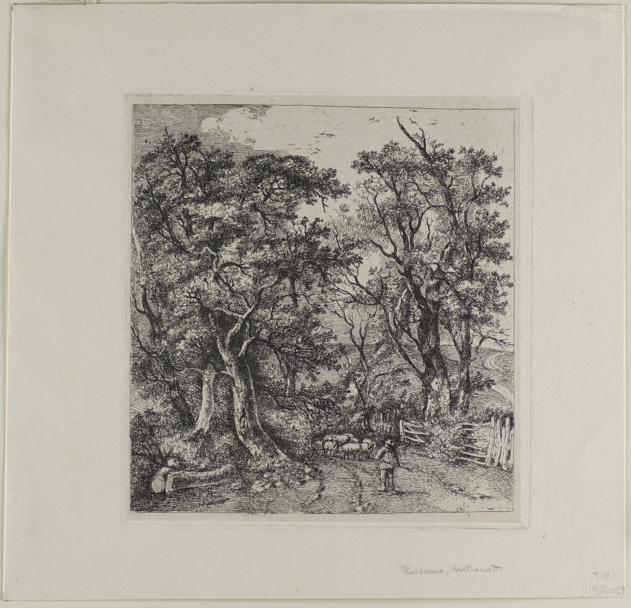 Silniční scéna, Heathersett od John Crome