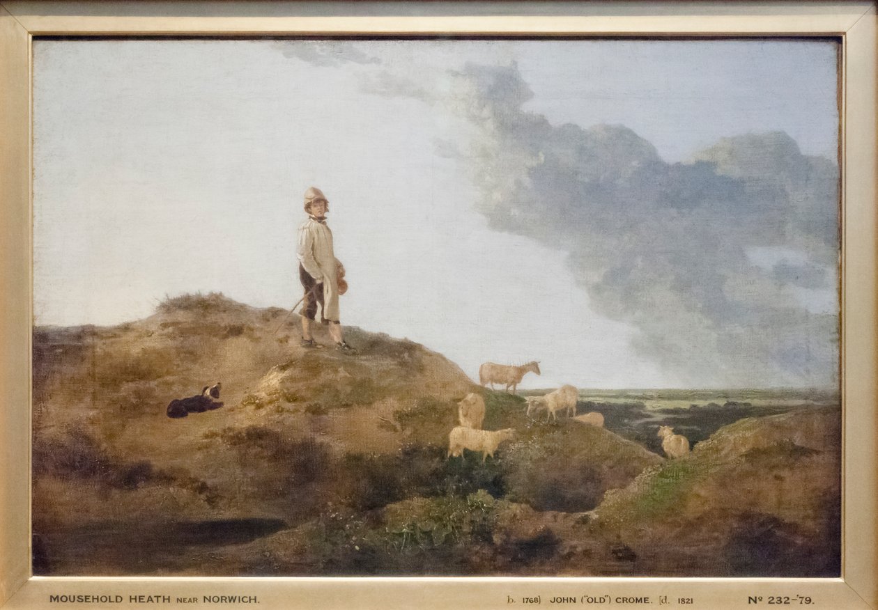 Pohled na Mousehold Heath, poblíž Norwiche od John Crome