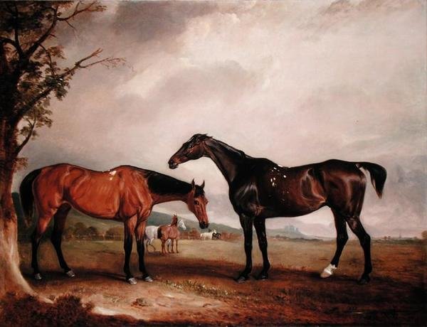 Longford Lass a Žid od John E. Ferneley