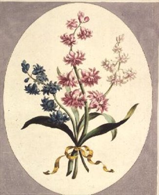 Východní hyacinty od John Edwards