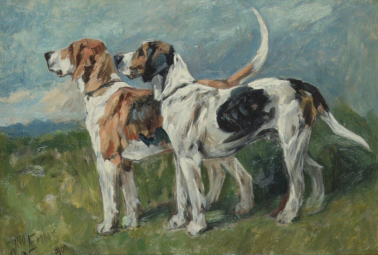 Pár Foxhoundů, 1900 (deska) od John Emms