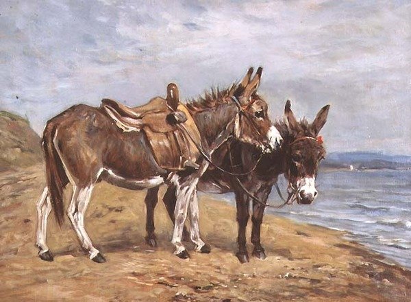 Přímořští osli (olej na plátně) od John Emms