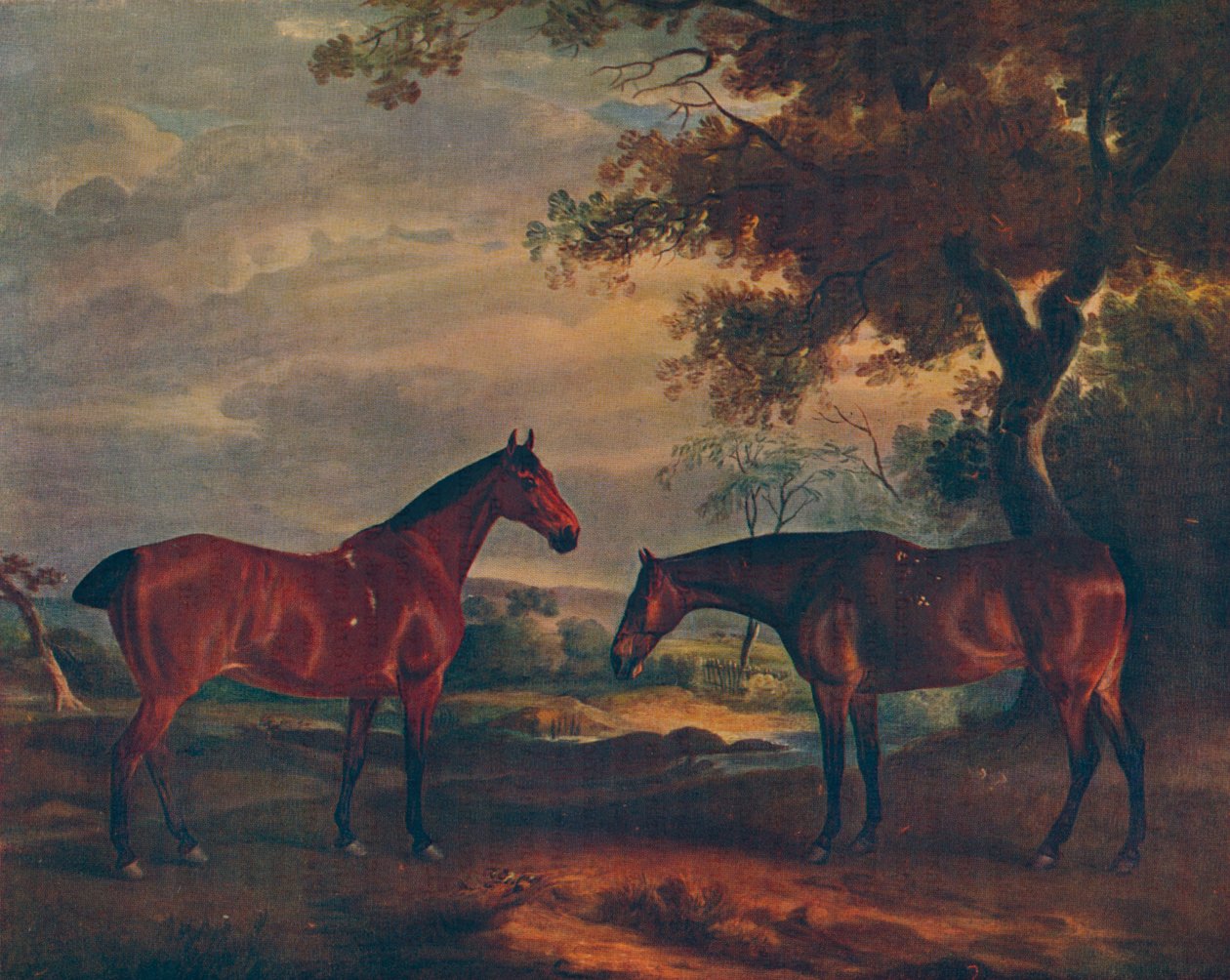 Yorkshire Hunters at Grass, c1840, 1922 od John Ferneley