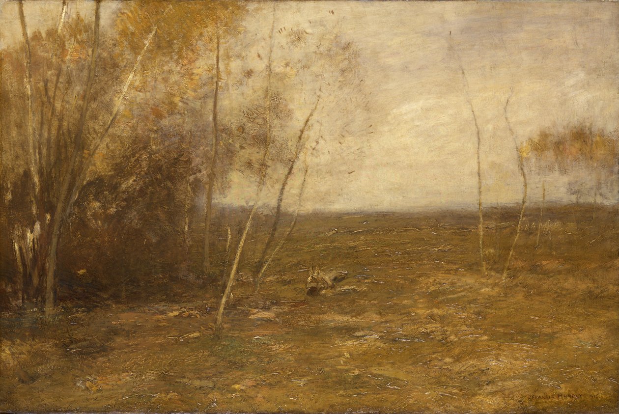 The Sprout Lot, 1915. od John Francis Murphy