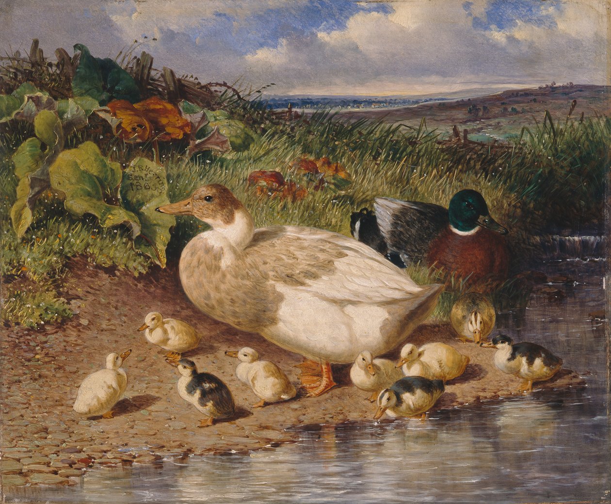Ducks by a Stream od John Frederick Herring Snr