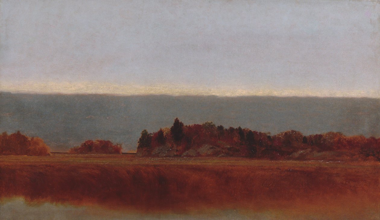 Salt Meadow v říjnu 1872. od John Frederick Kensett