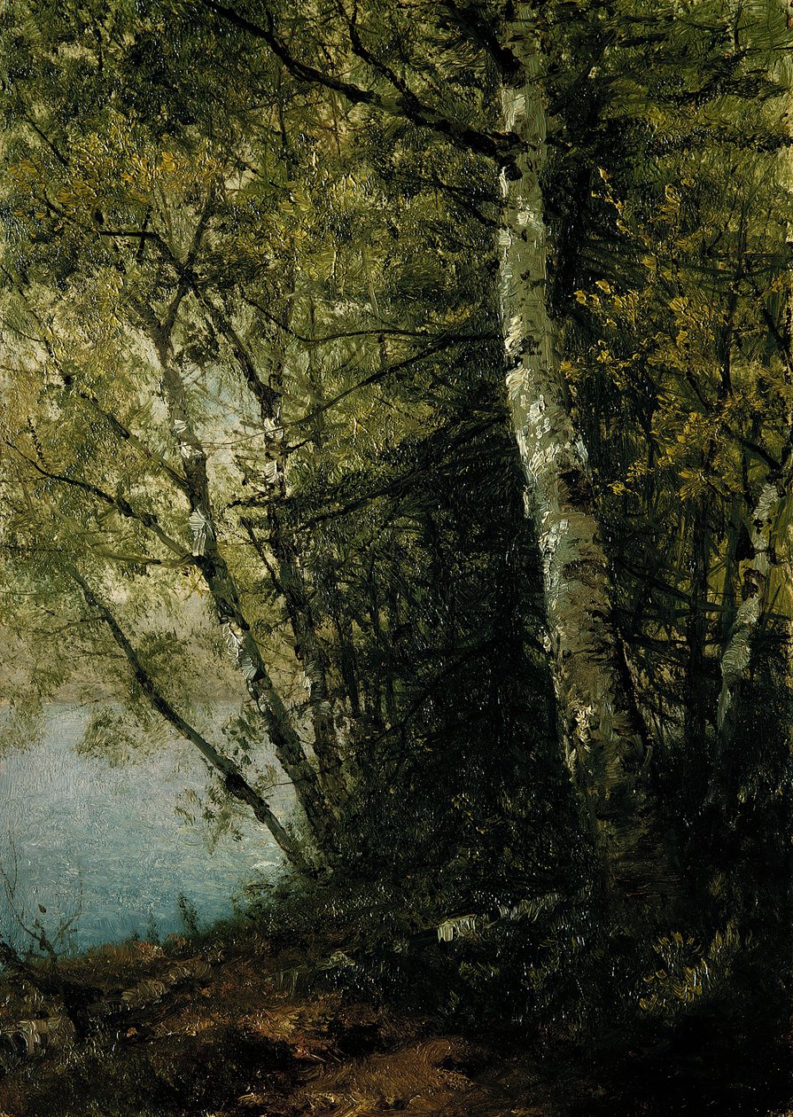 Studie o bucích, 1872. od John Frederick Kensett