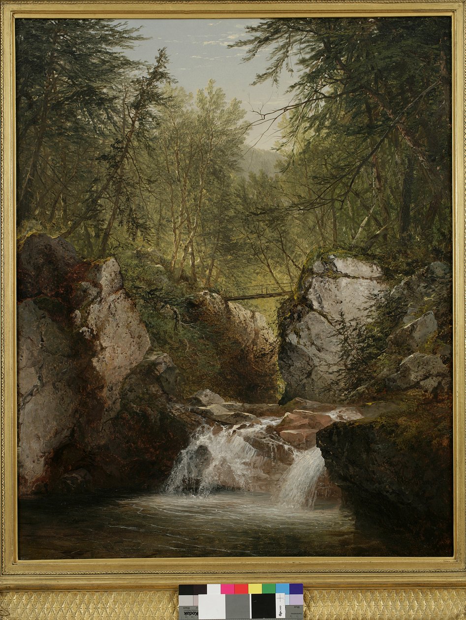 T. Bash-poison, 1855 od John Frederick Kensett