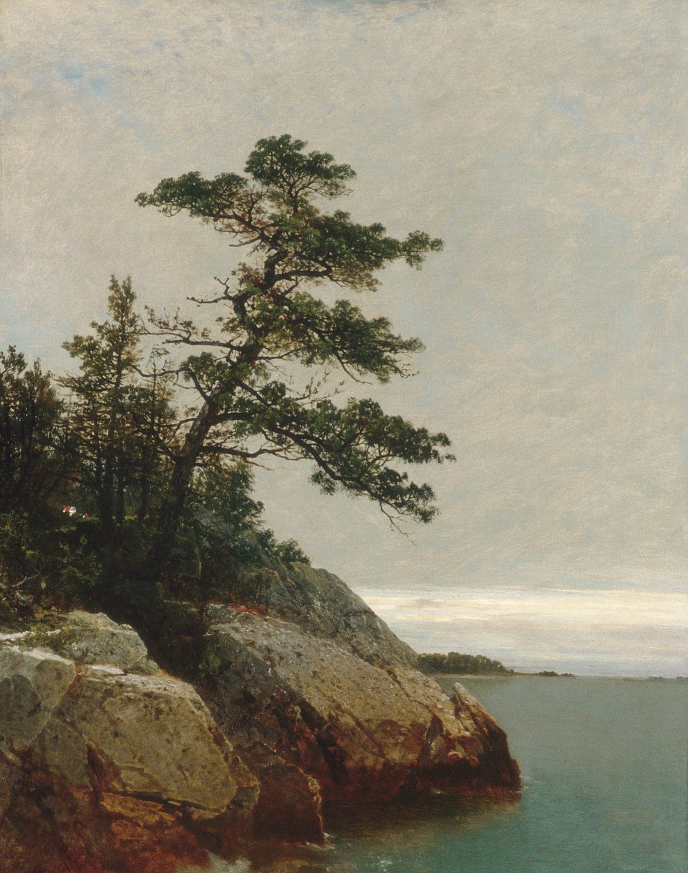 The Old Pine, Darien, Connecticut od John Frederick Kensett