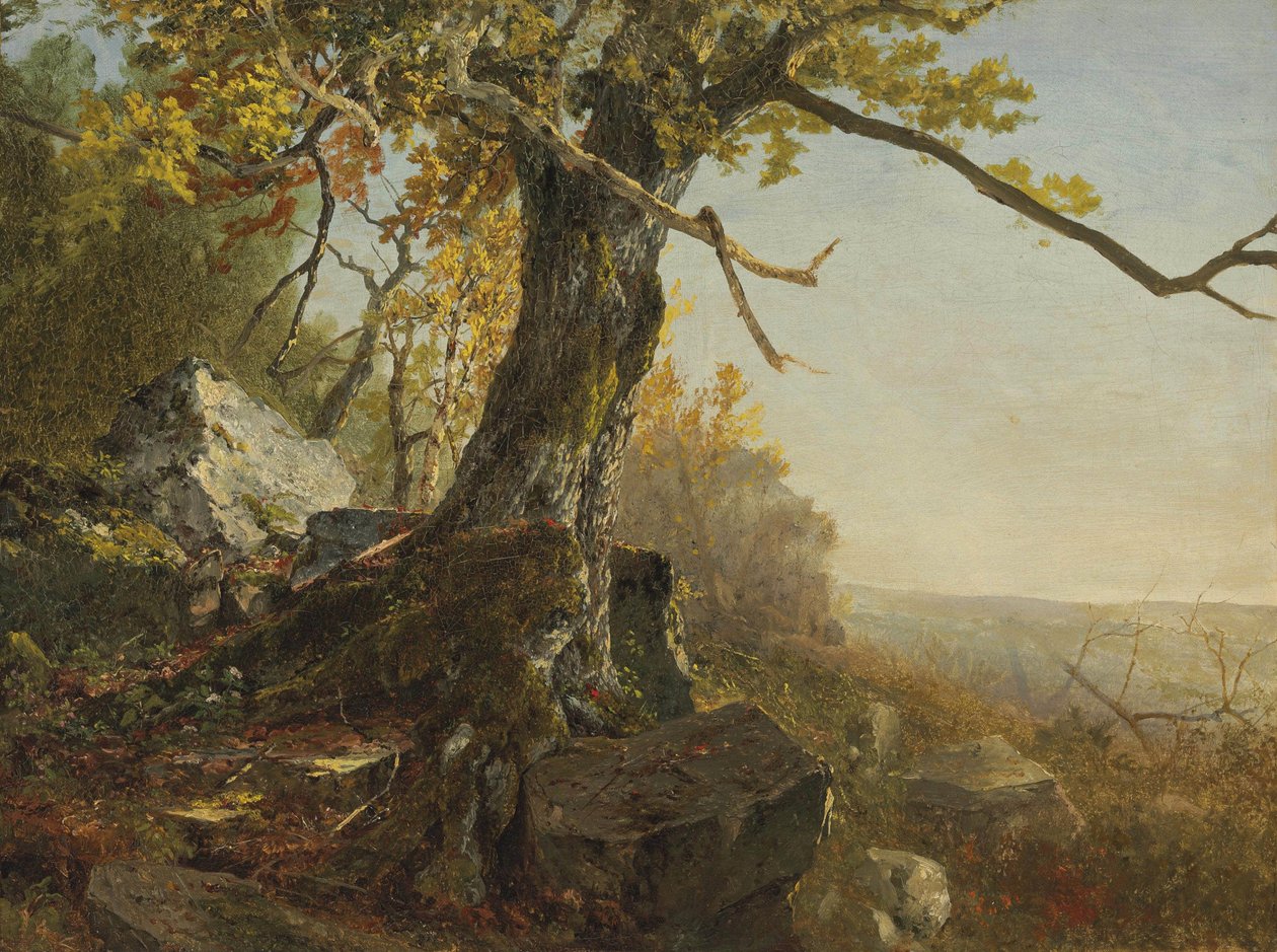 Strom v krajině od John Frederick Kensett
