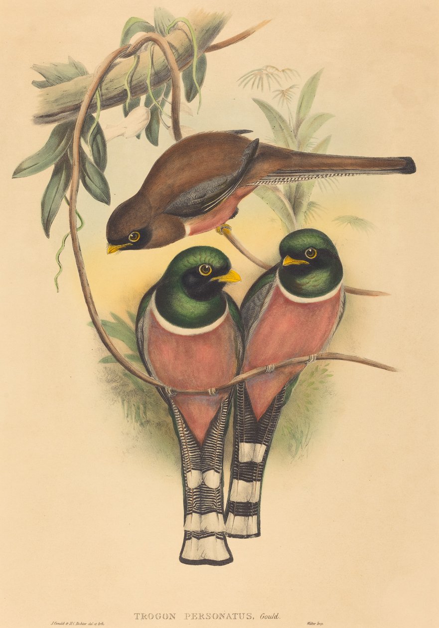 Trogan se vydával za identitu od John Gould and H.C. Richter