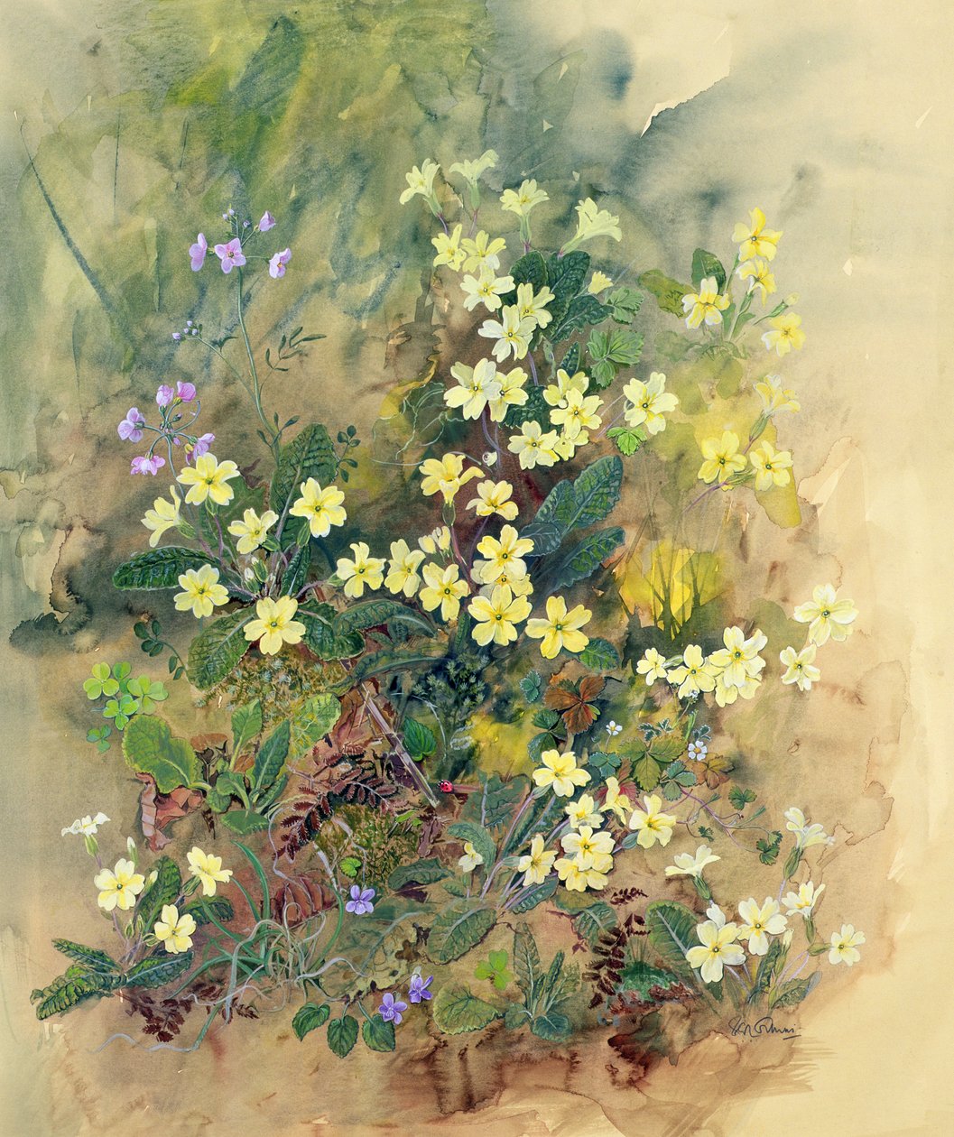 Primrose Bank od John Gubbins
