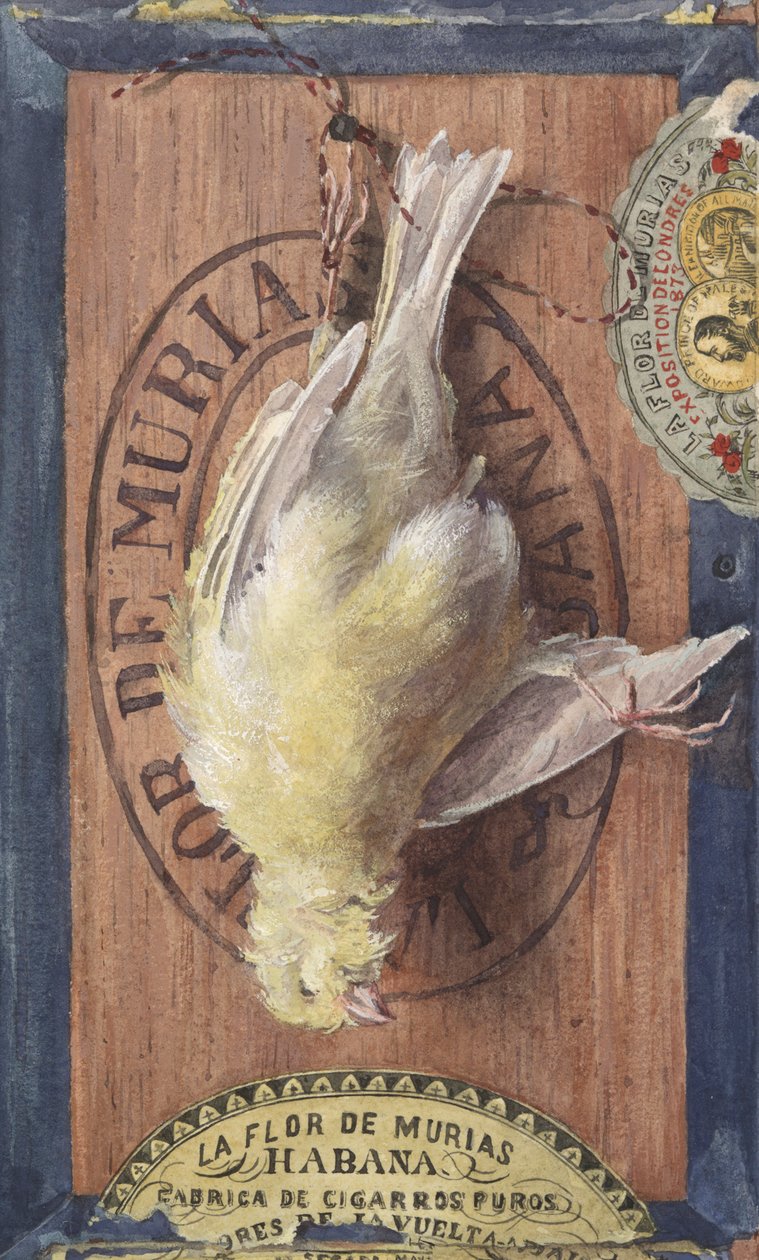 oklamat ho od John Haberle