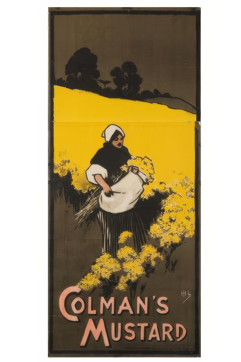 "Colmanova hořčice" / J. Hassall / Plakat, 1898 od John Hassall