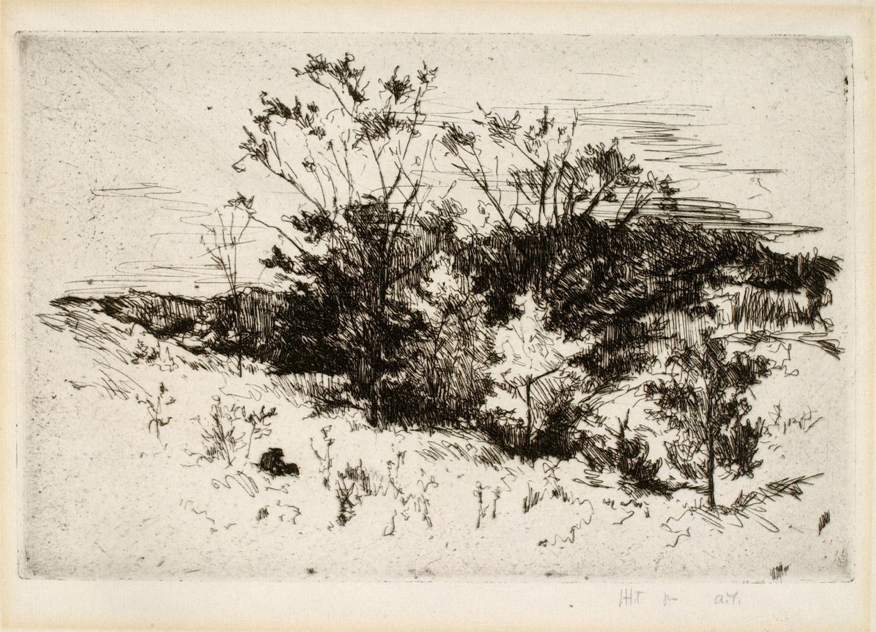 Krajina poblíž Cincinnati od John Henry Twachtman