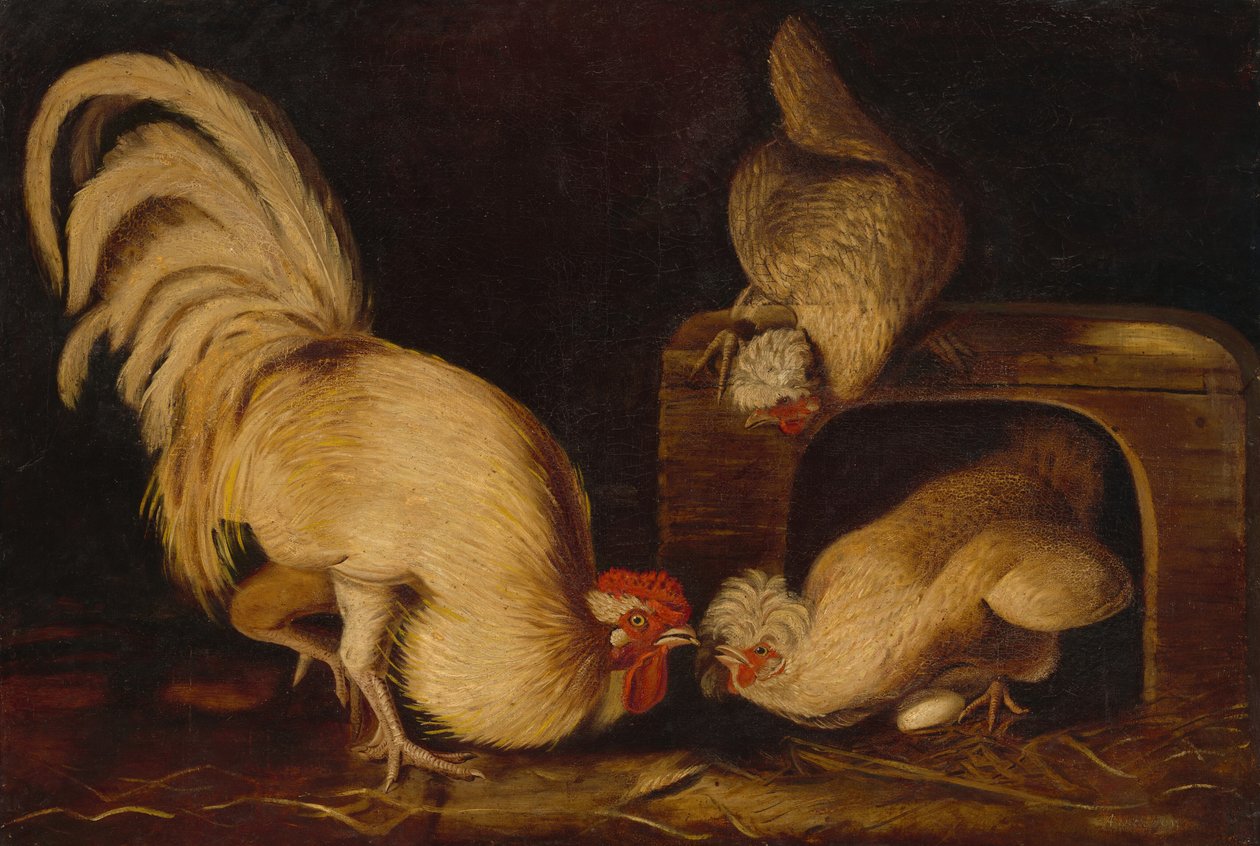 Farmyard Fowls, c. 1827. od John James Audubon