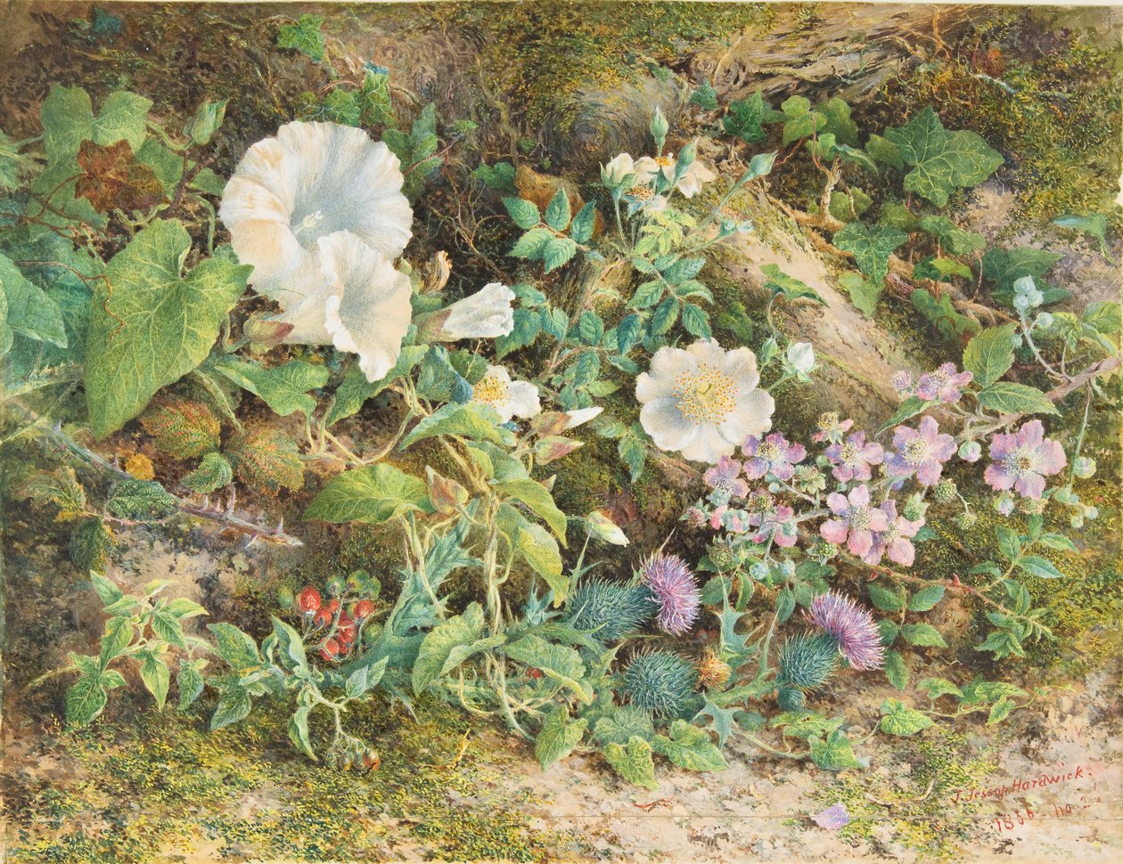 Květinová studie, 1866. od John Jessop Hardwick