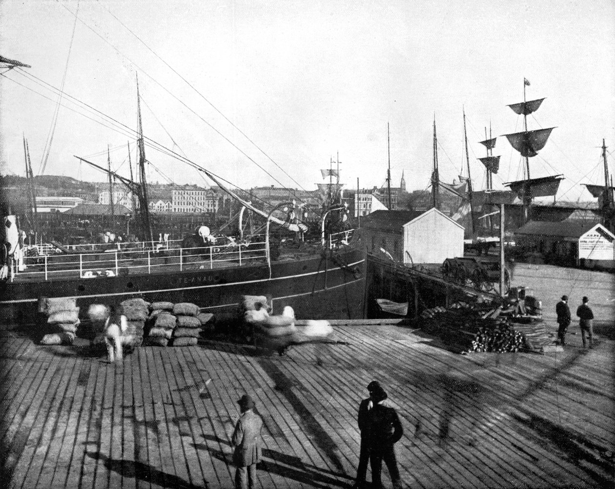 Harbour of Auckland, Nový Zéland, 1893. od John L. Stoddard