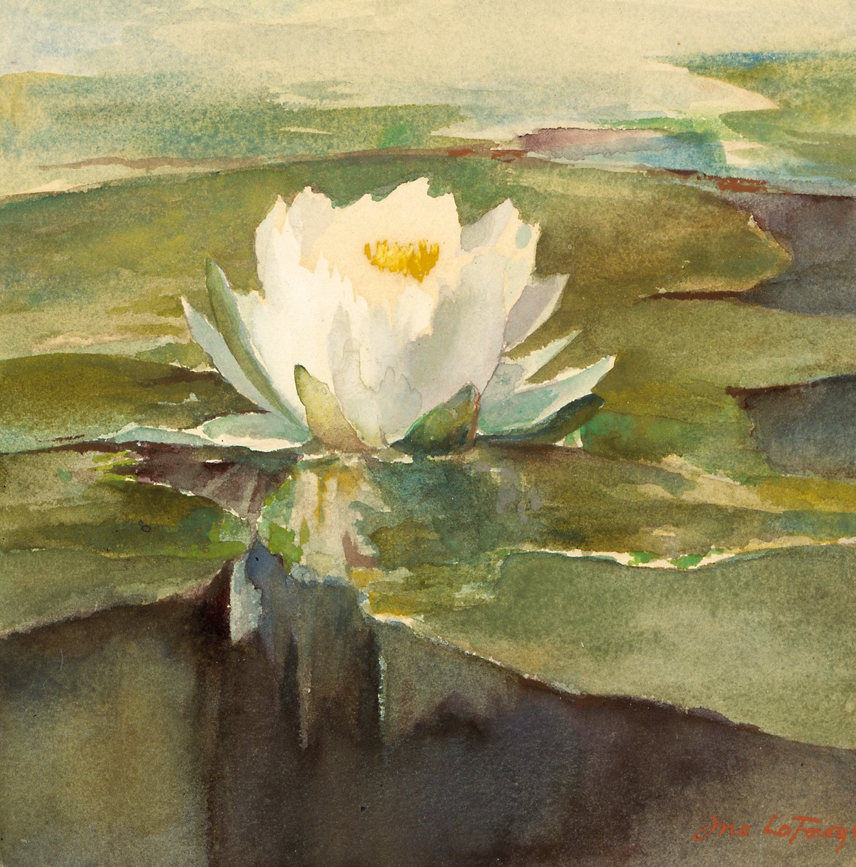 Leknín na slunci, ca. 1883. od John La Farge