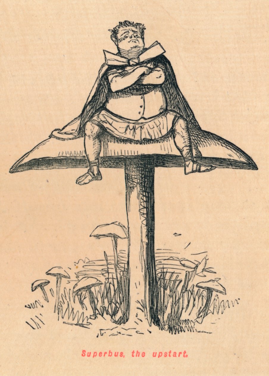 Superbus, nováček, 1852 od John Leech