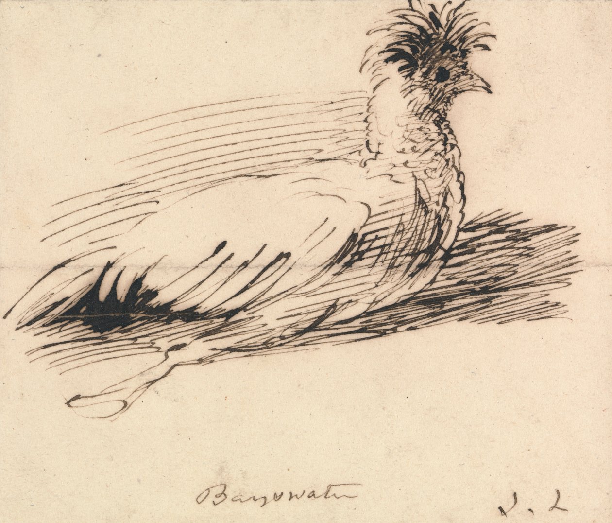 Slepice od John Linnell