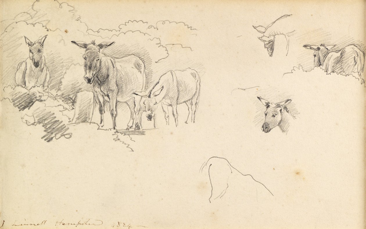 Osli, 1824 od John Linnell