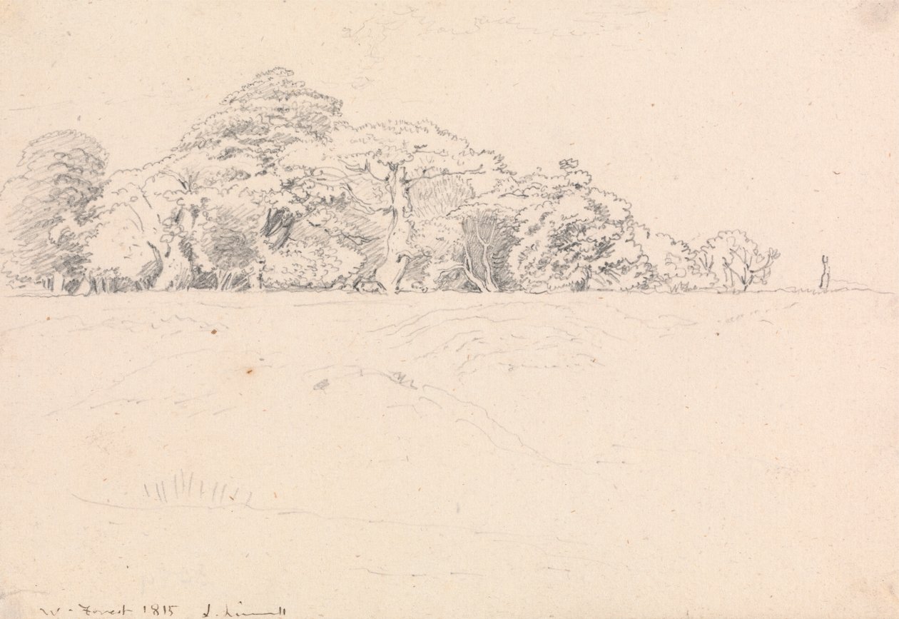 Windsorský les od John Linnell