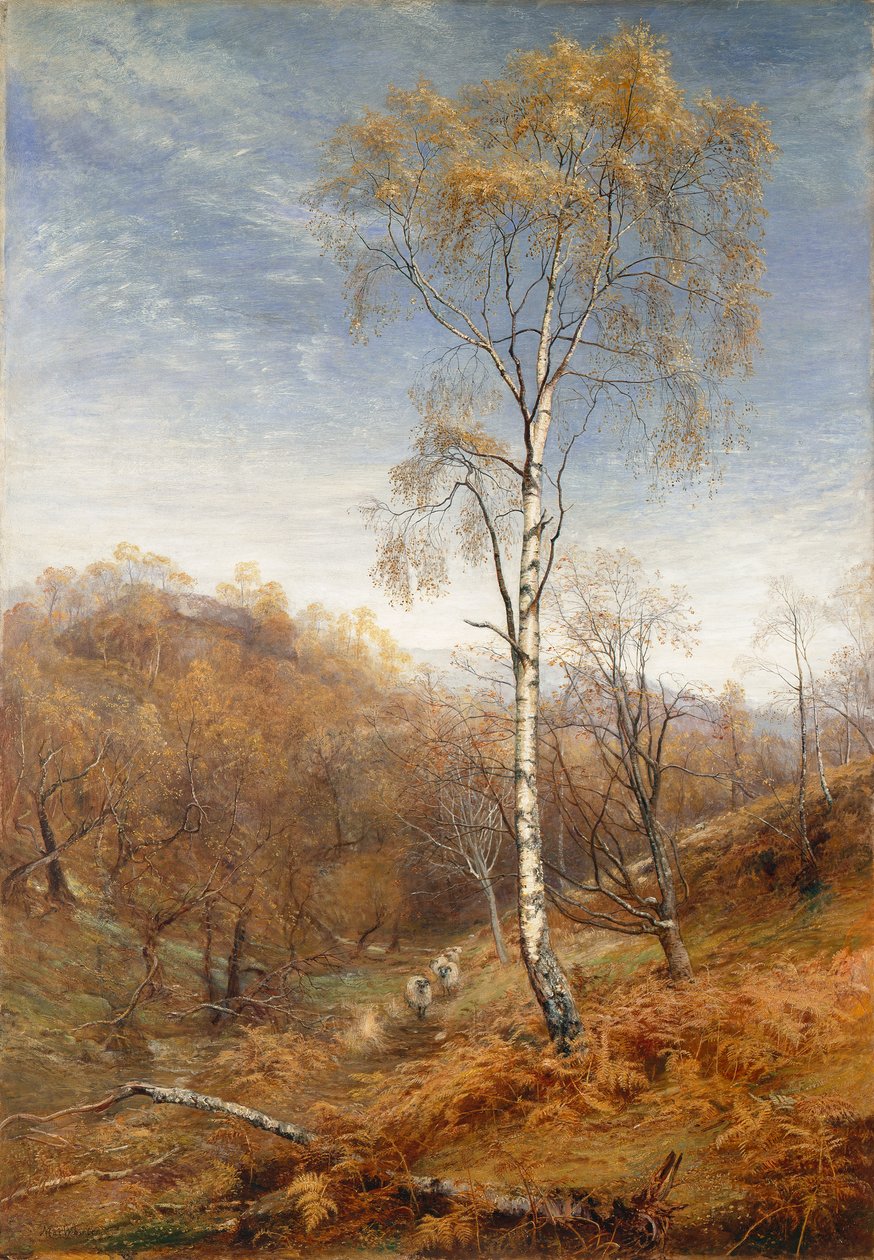 Dáma z lesa od John MacWhirter