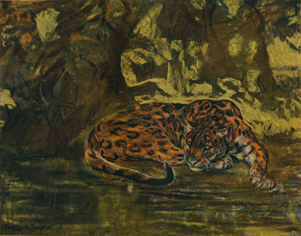 Jaguar, c1900 od John Macallan Swan