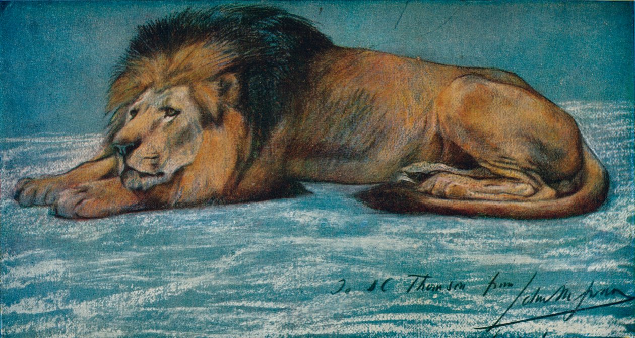 Pastelová studie lva, c1900 od John Macallan Swan