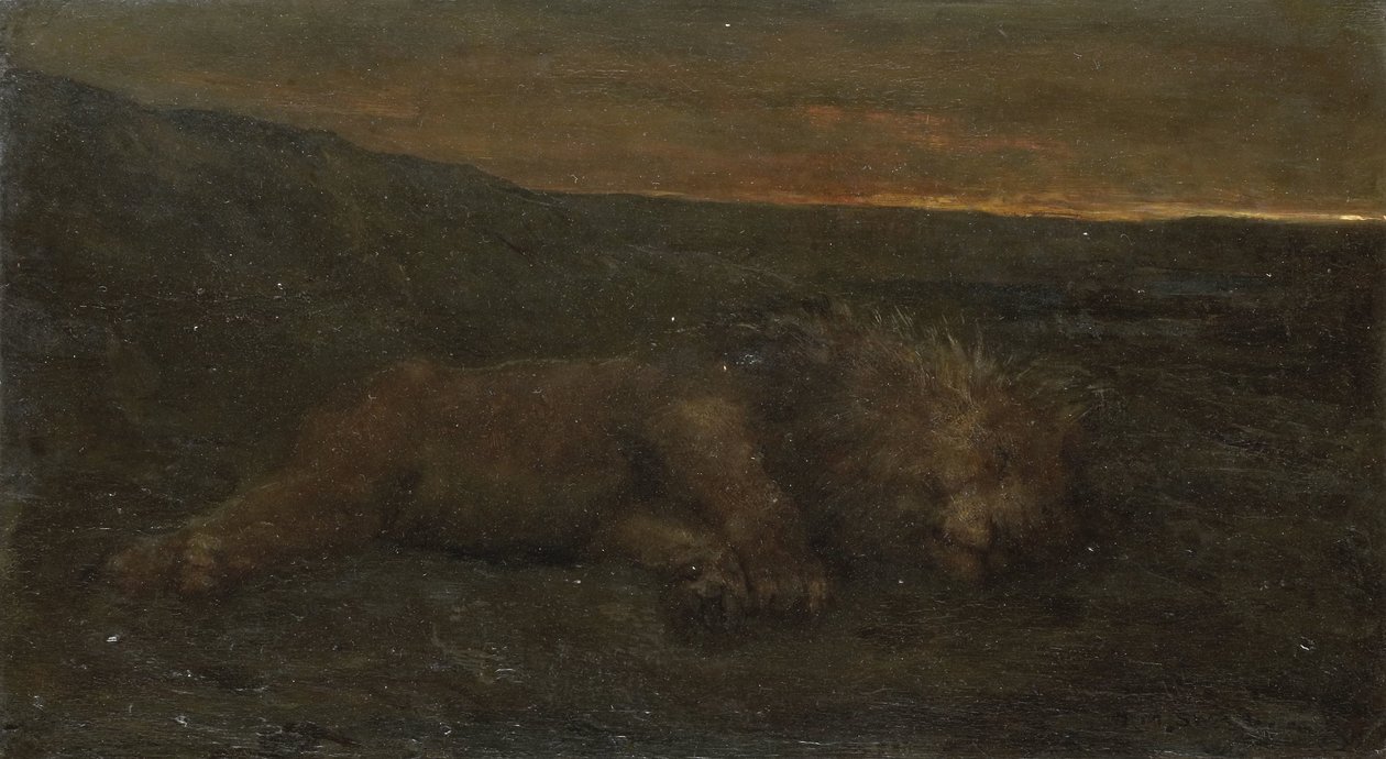 Spící lev v noci od John Macallan Swan