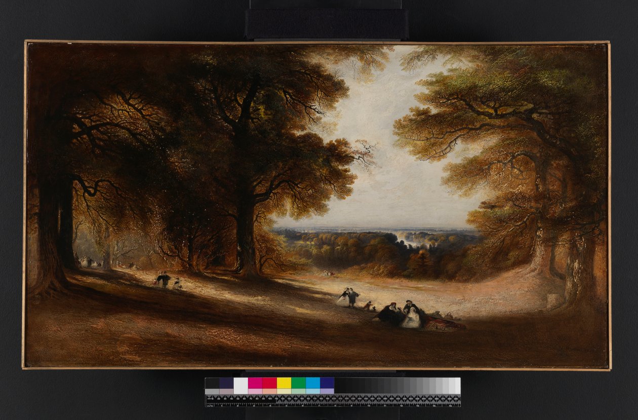 Krajina: Pohled v Richmond Park, 1850 od John Martin